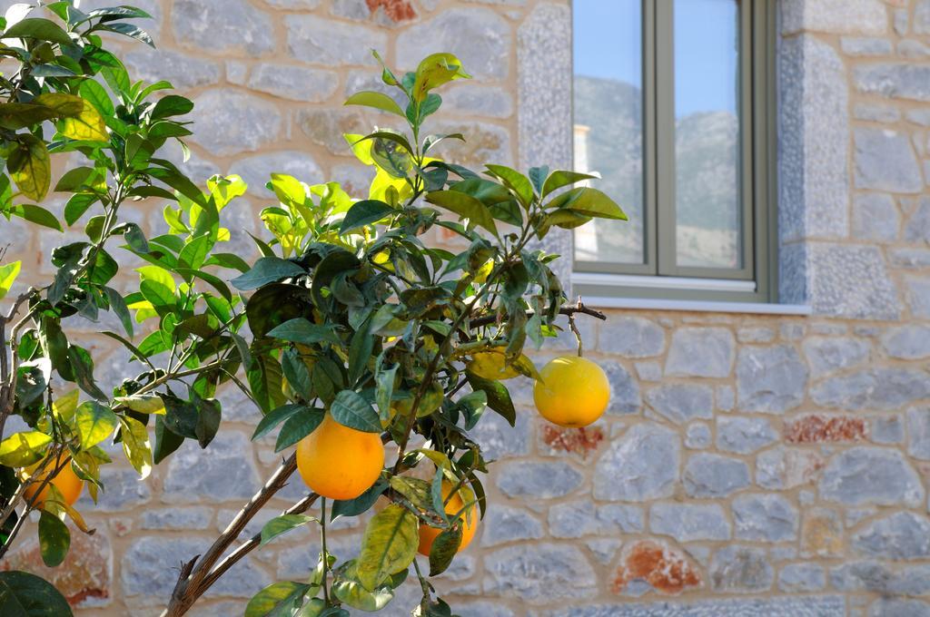 Vila Nikoloudi Estate Agios Nikolaos  Exteriér fotografie